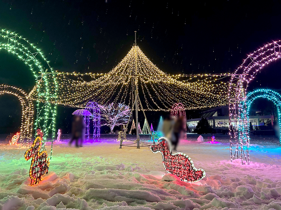 Xmasイルミネーション