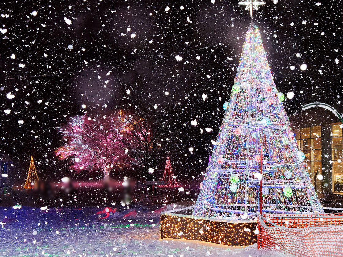 Xmasイルミネーション