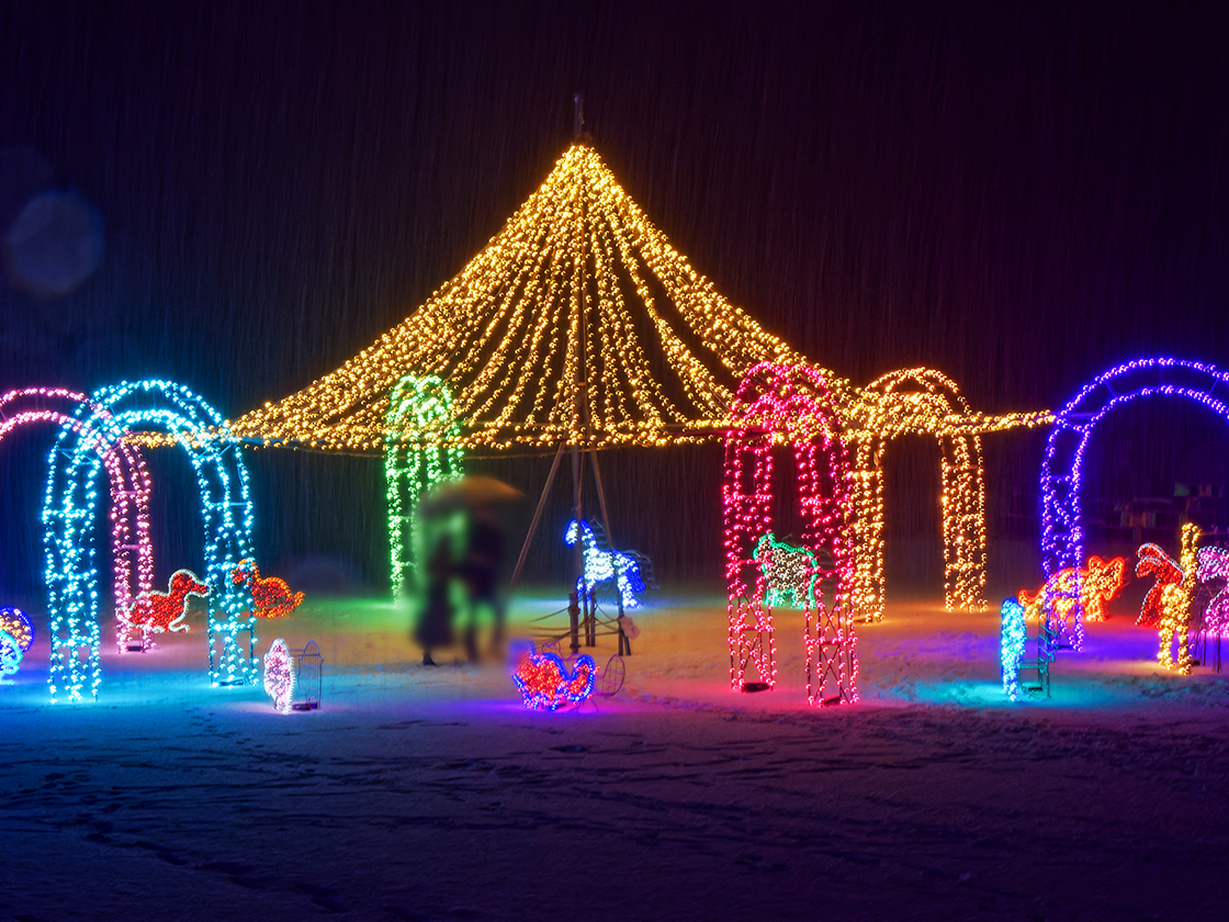 Xmasイルミネーション