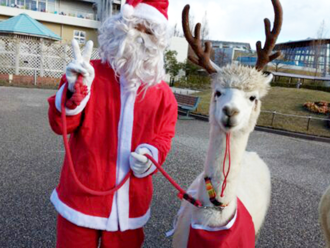 いくとぴあ食花 クリスマスフェスタ