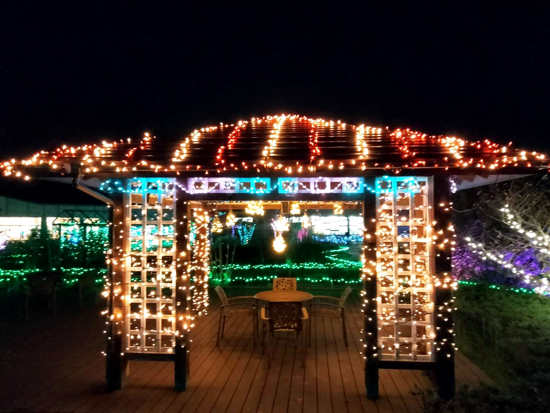 Winter illumination2025 魔法の花庭