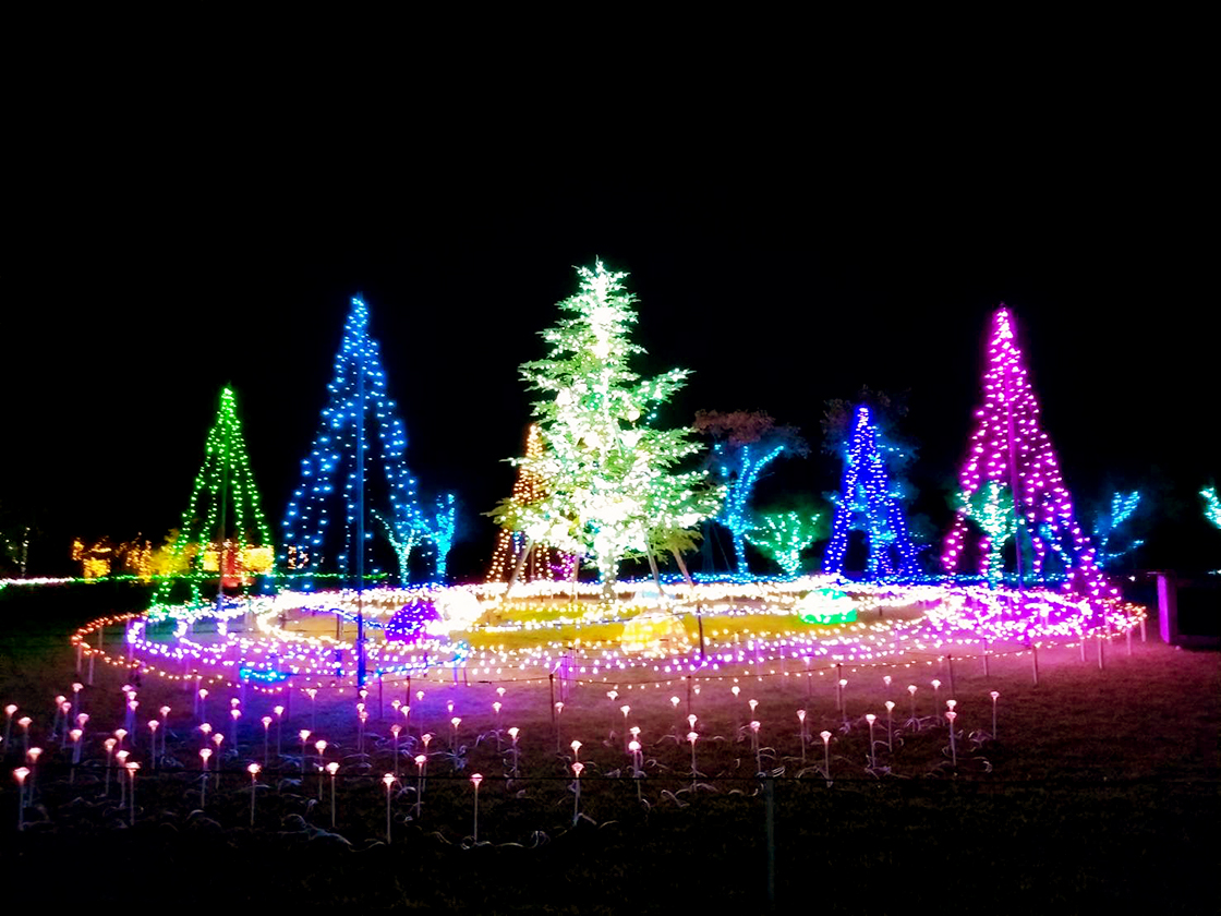 いくとぴあ食花 クリスマスフェスタ