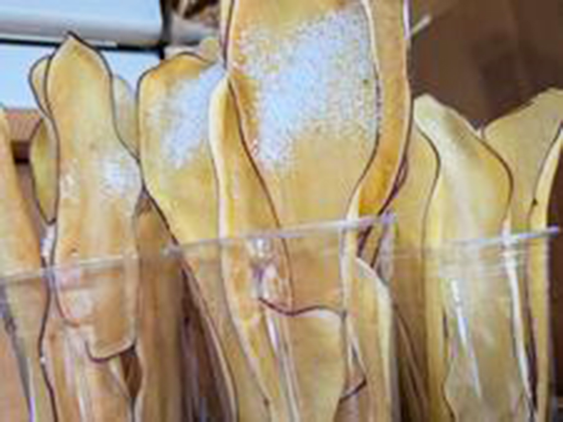 いもジェンヌまつり2025