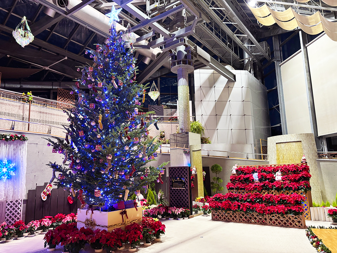 新潟県立植物園ウィンターフェスタ~歌と光とサンタクロース~