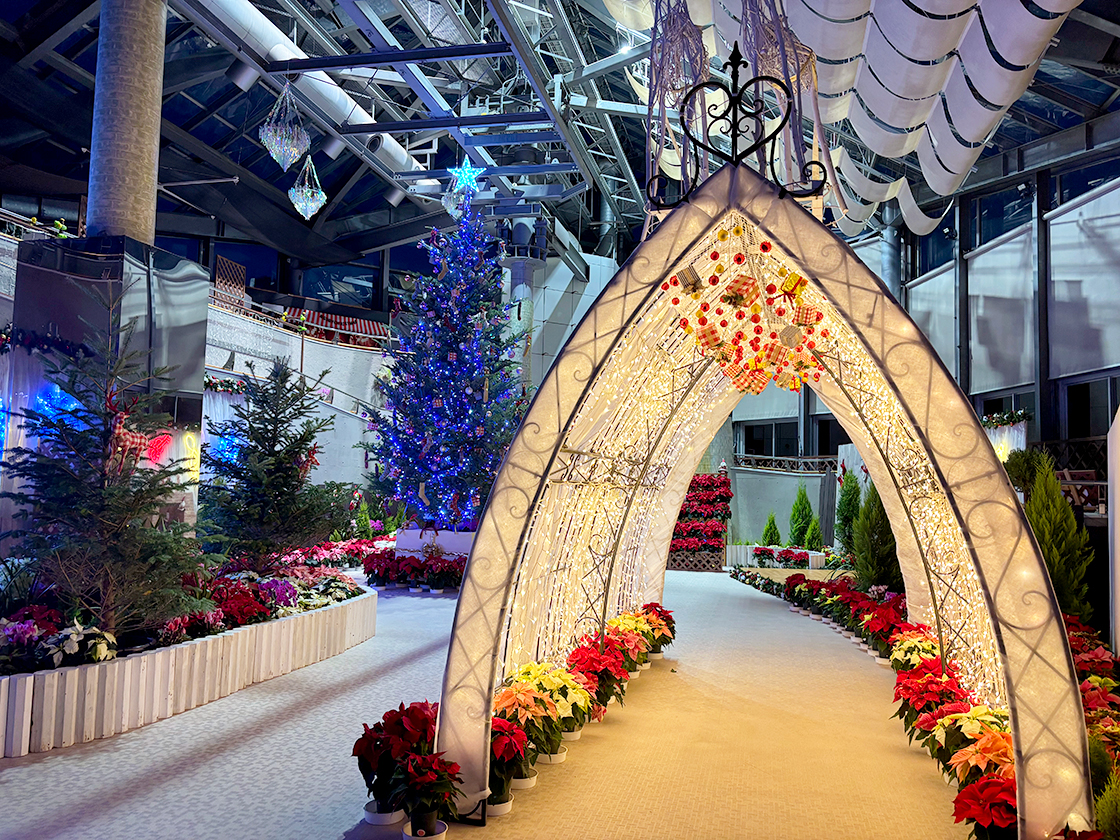 新潟県立植物園ウィンターフェスタ~歌と光とサンタクロース~
