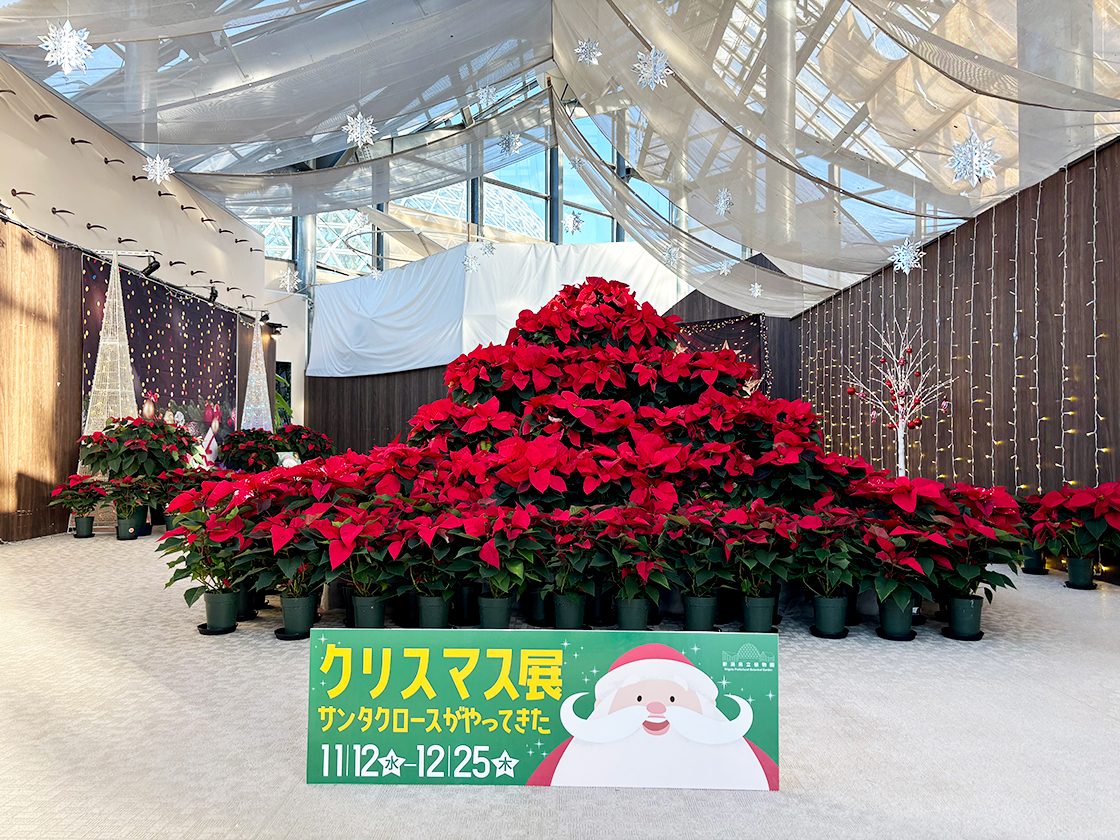 新潟県立植物園ウィンターフェスタ~歌と光とサンタクロース~