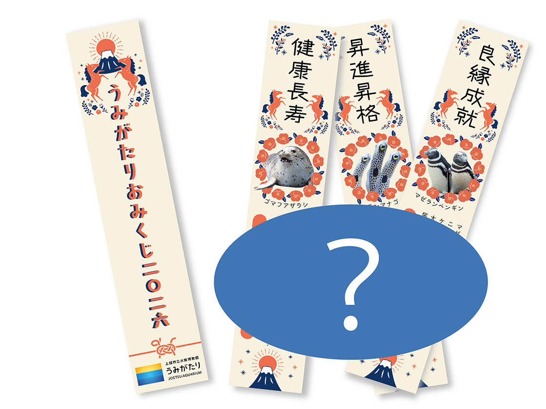 うみがたりのお正月