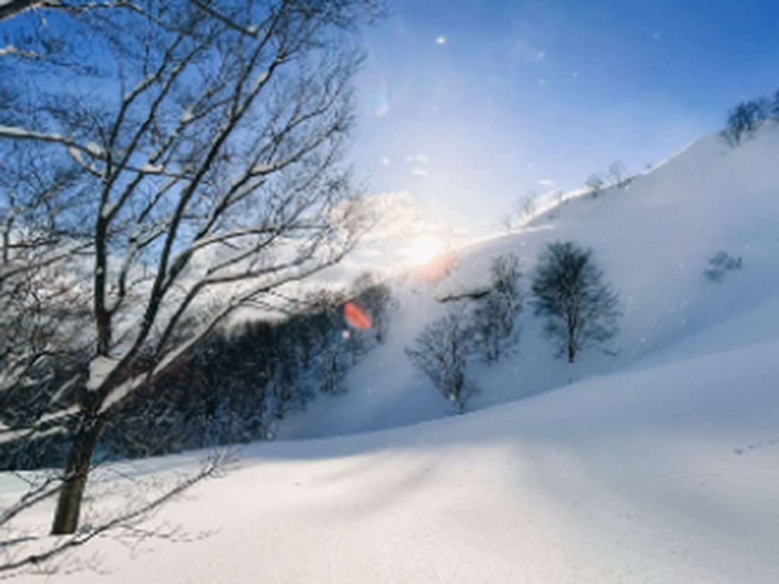 ロッテアライリゾート