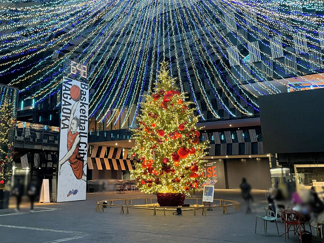 アオーレ長岡 クリスマスツリー