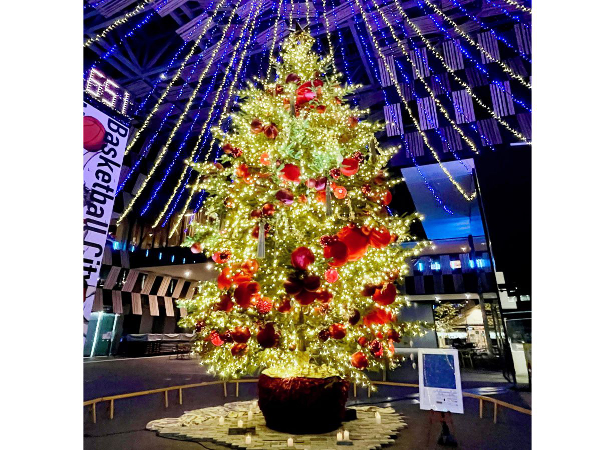 アオーレ長岡 クリスマスツリー