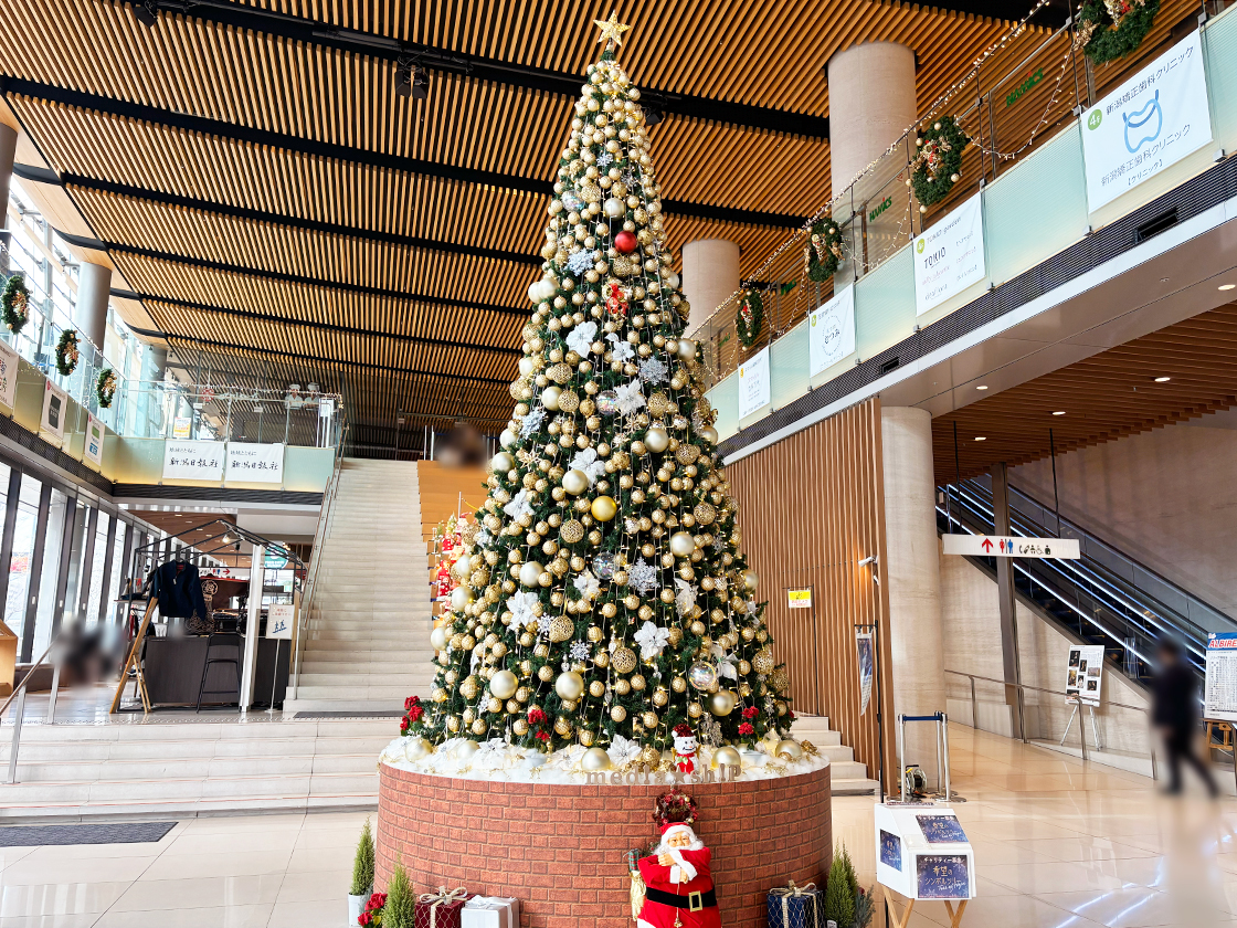 メディアシップ クリスマスツリー