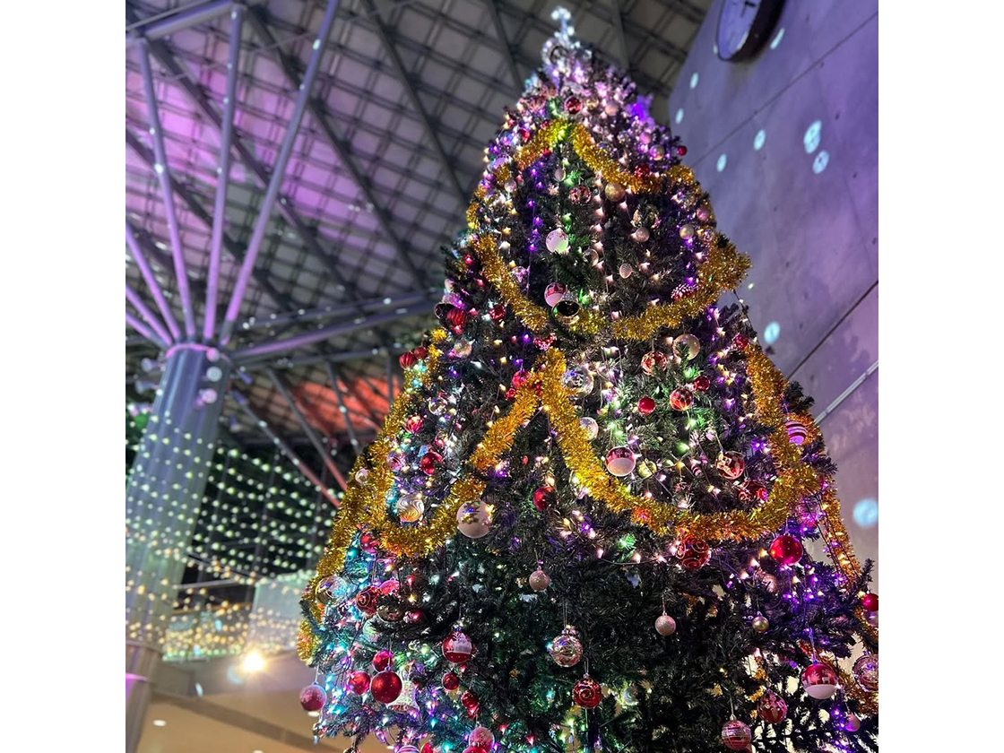 越後丘陵公園　クリスマスツリー