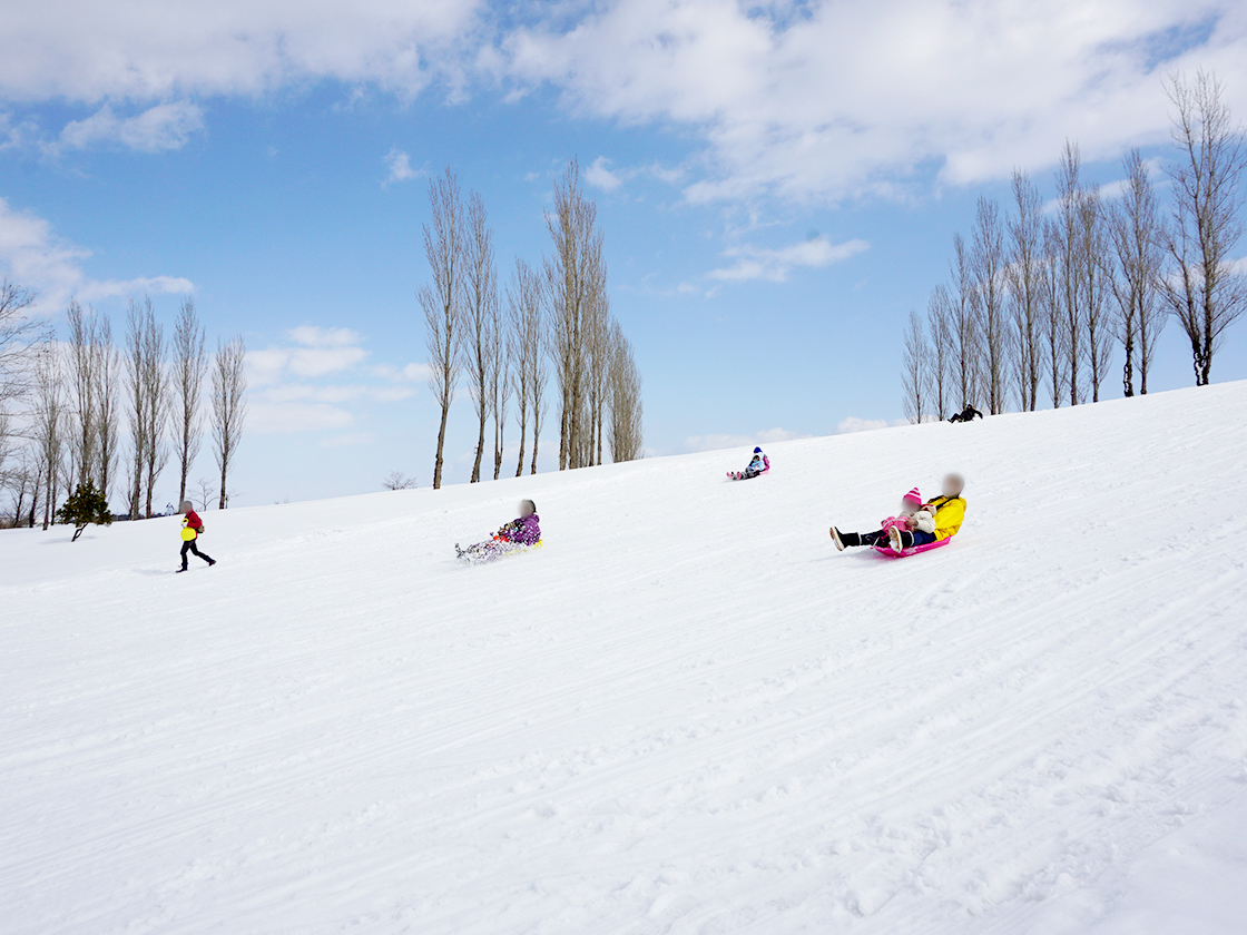 国営越後丘陵公園 えちごスノーワールド
