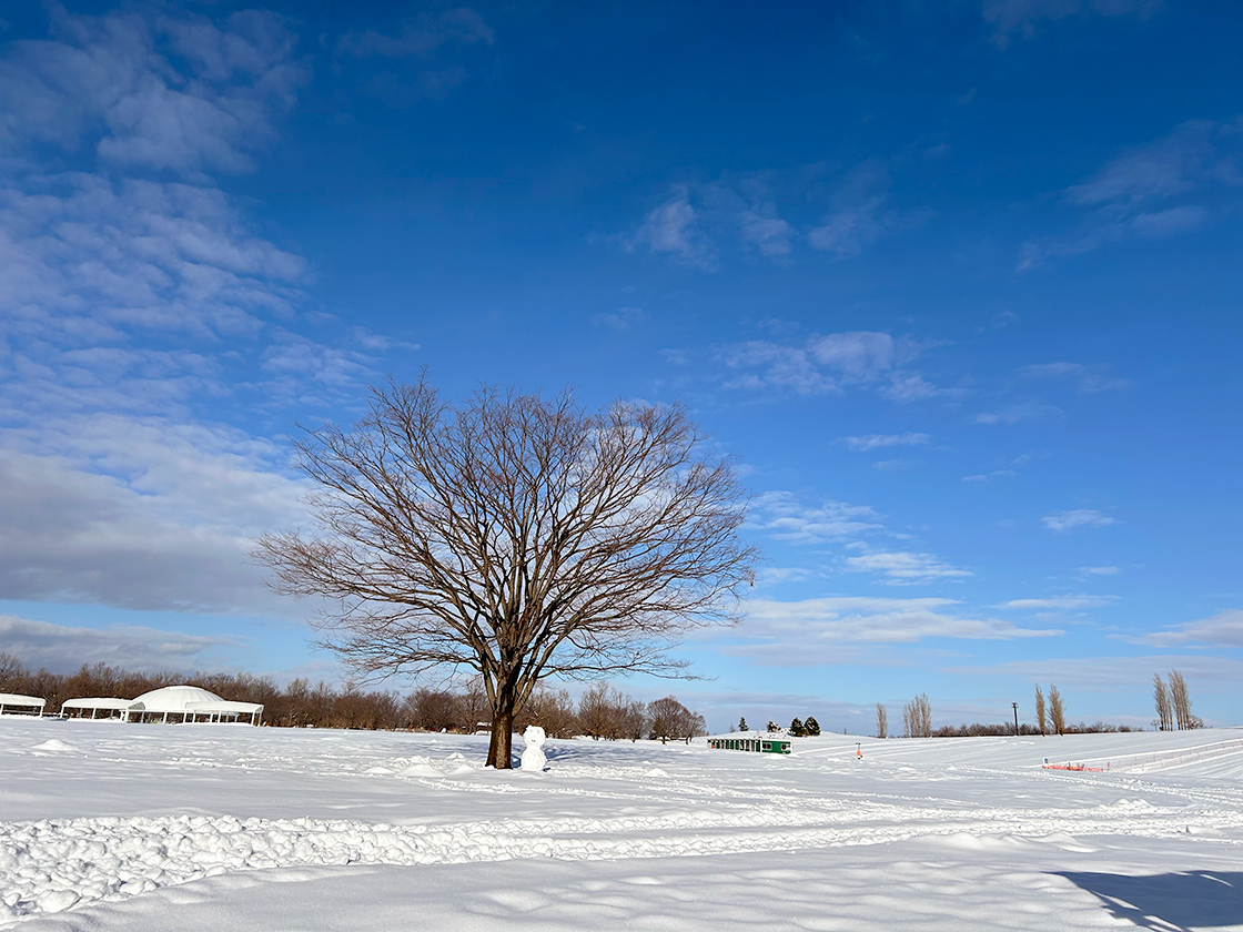 国営越後丘陵公園 えちごスノーワールド