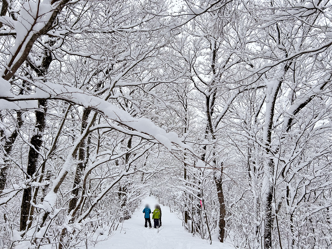 国営越後丘陵公園 えちごスノーワールド