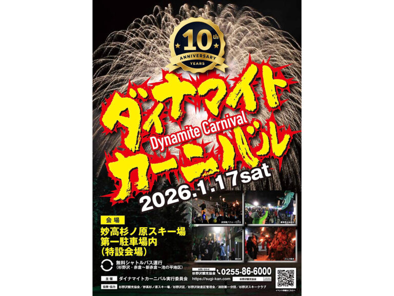 ダイナマイトカーニバル MYOKO SUGINOSAWA　ポスター