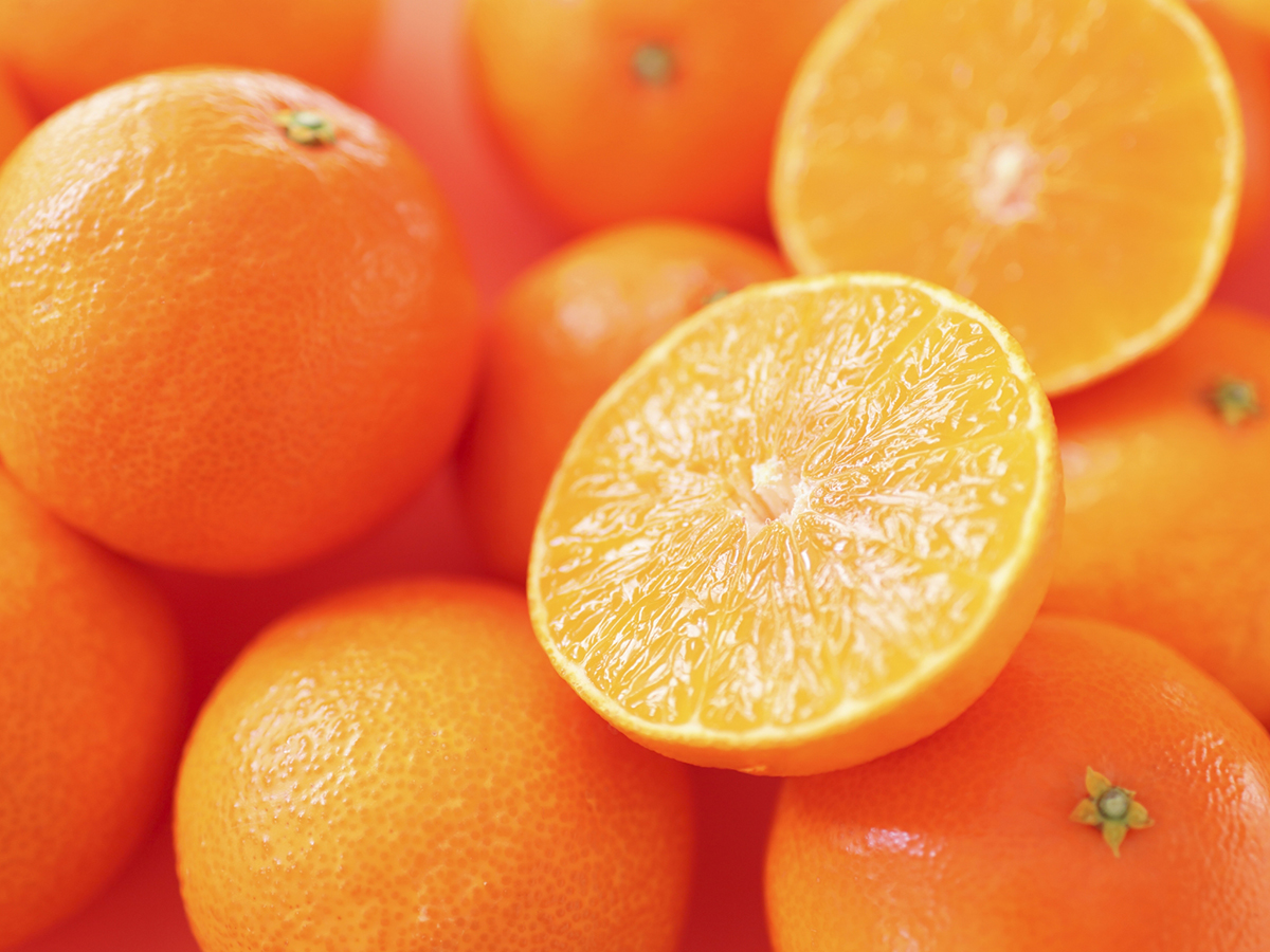 かんきつのイメージ