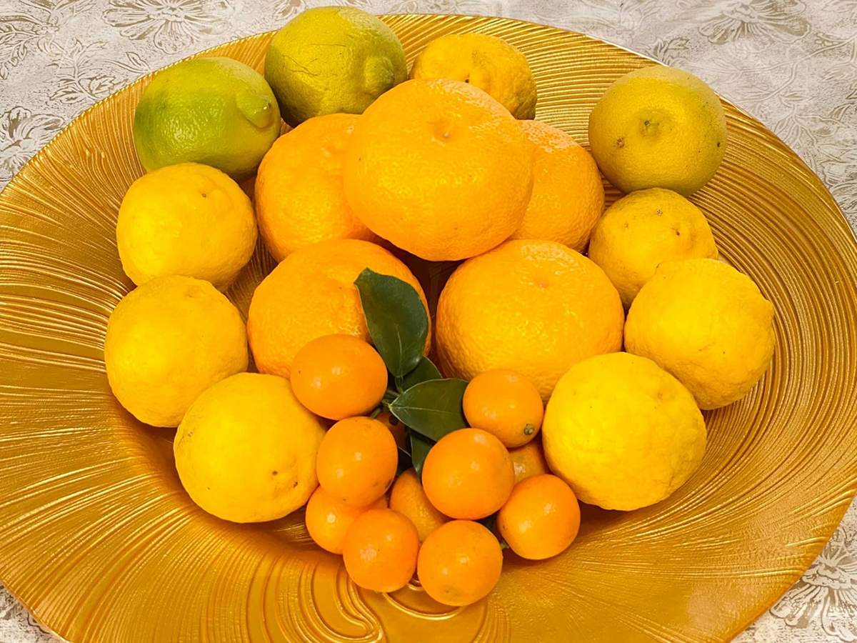 かんきつのイメージ