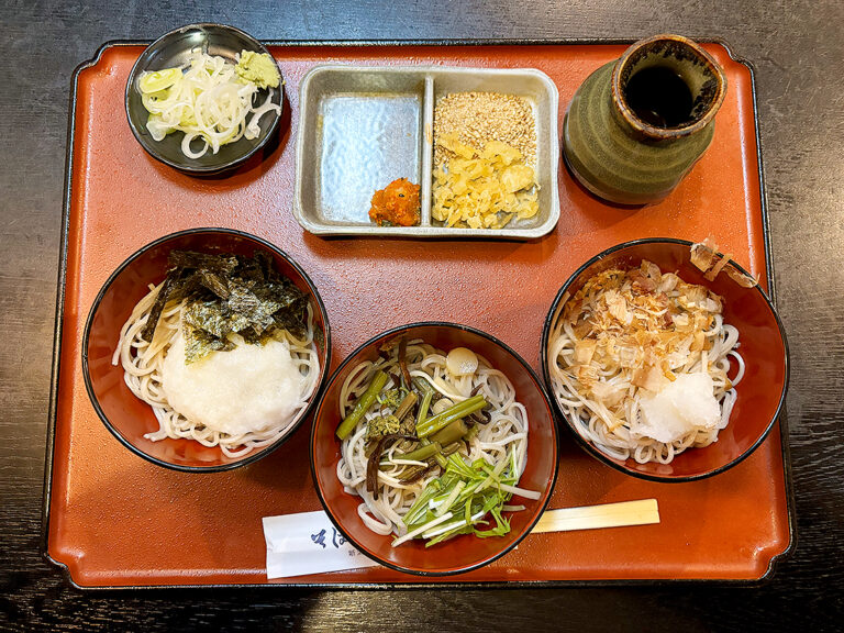 そばの山文 古町本店　みかさそば