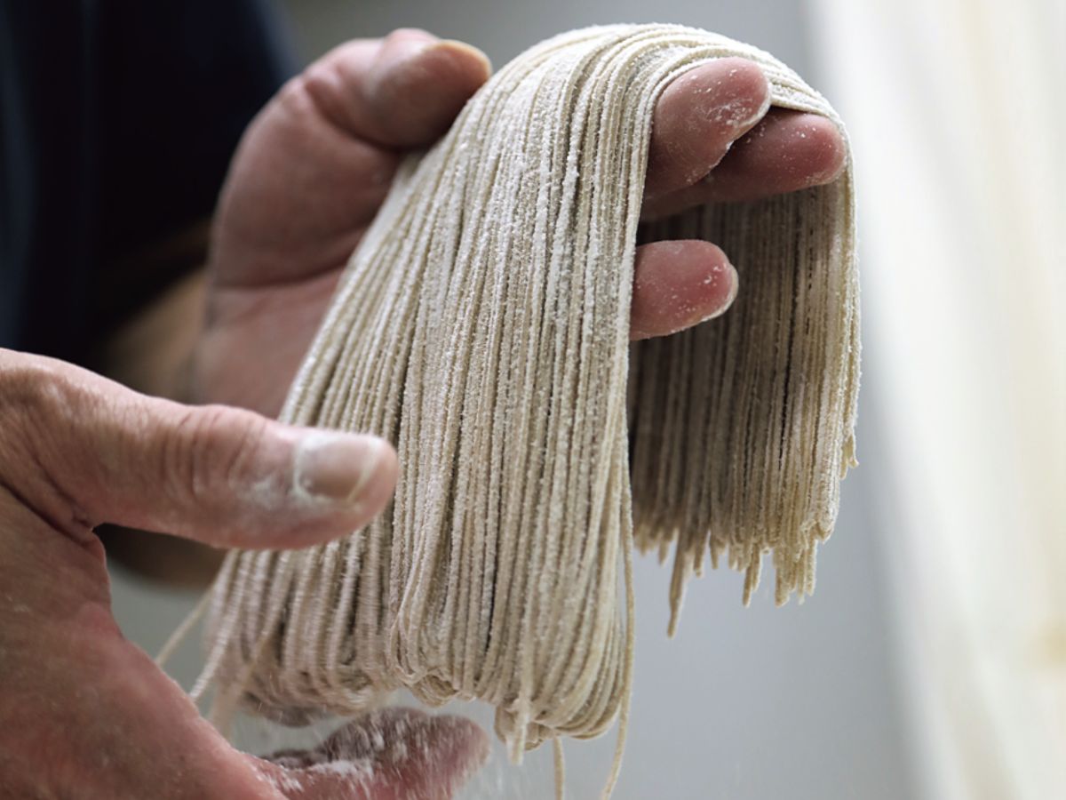 新潟県のおすすめ蕎麦屋さん10選