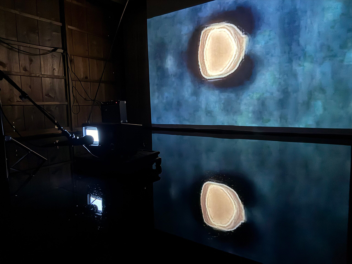 さどの島銀河芸術祭2025