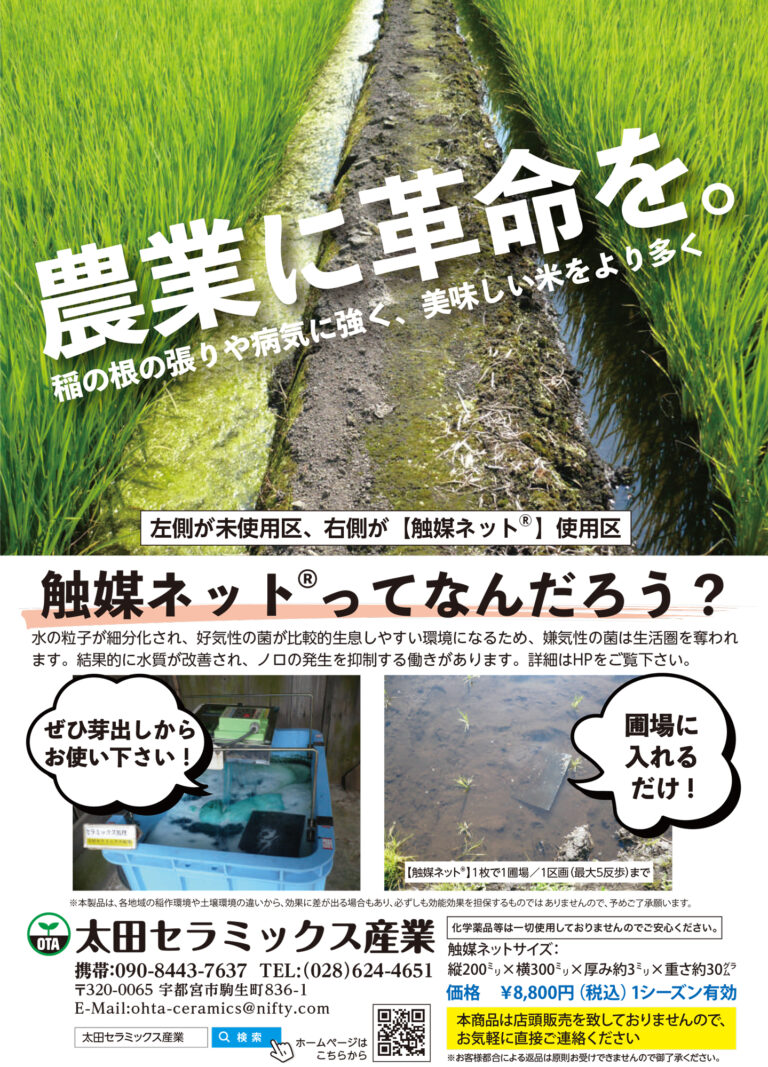 チラシ