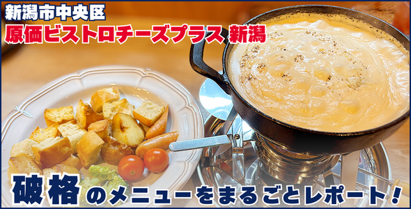 原価ビストロチーズプラス 新潟