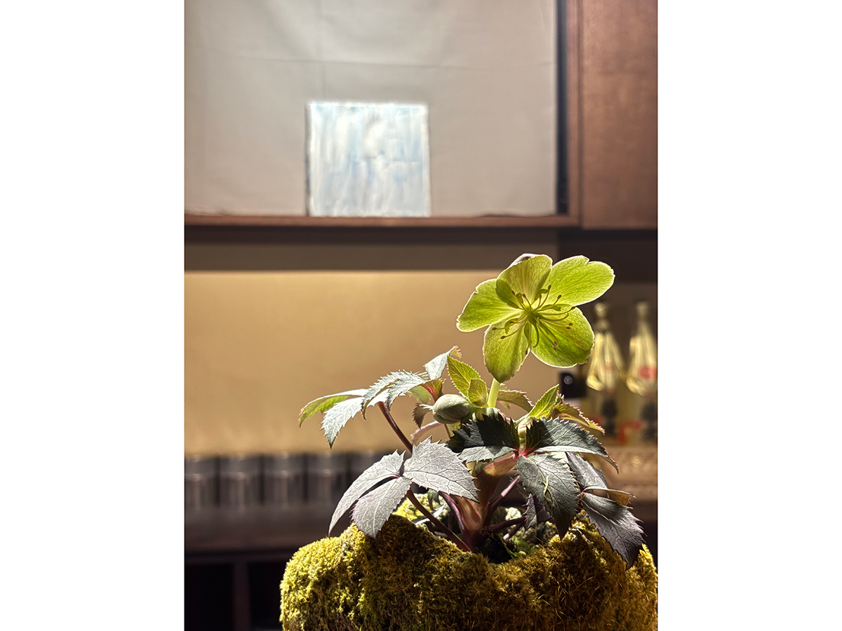 岩室茶寮 さとりの店内