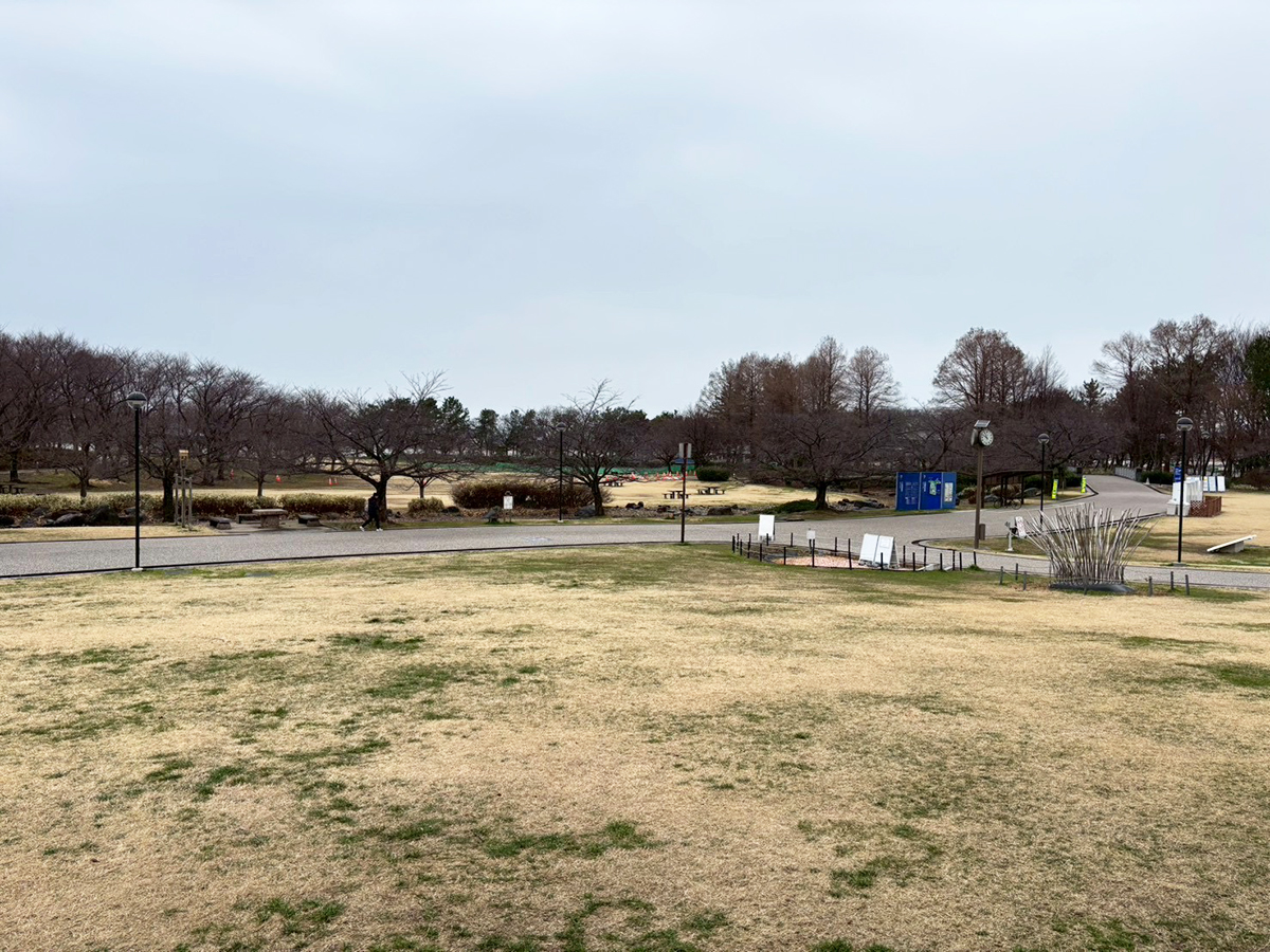 カプリチョーザ 新潟鳥屋野潟店の場所