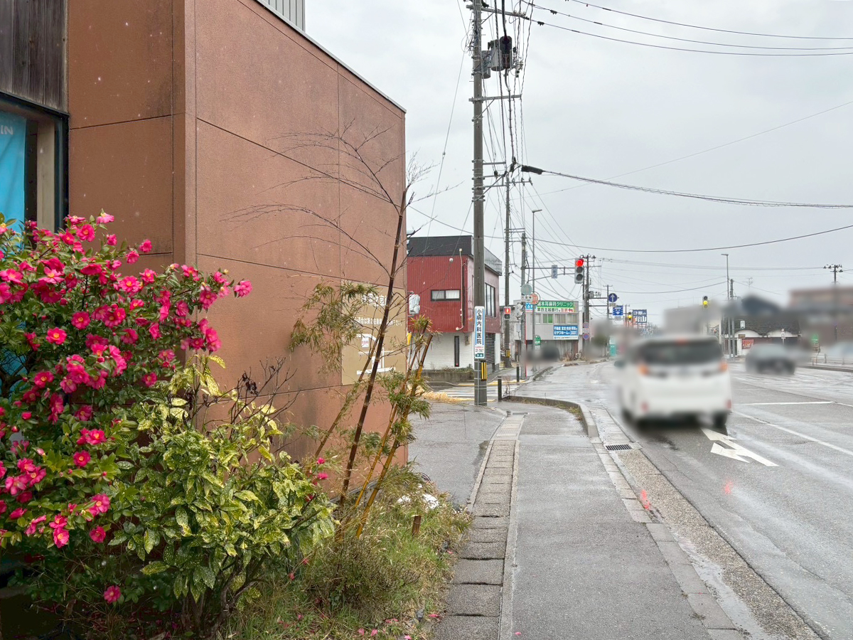 寿司和食家 しゃかりき