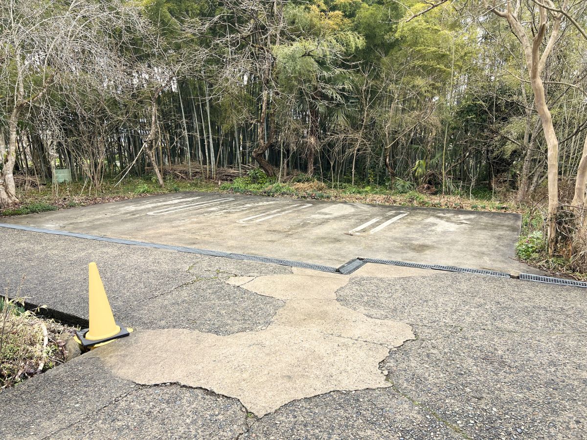 支那そば おもだかや 新津店の駐車場