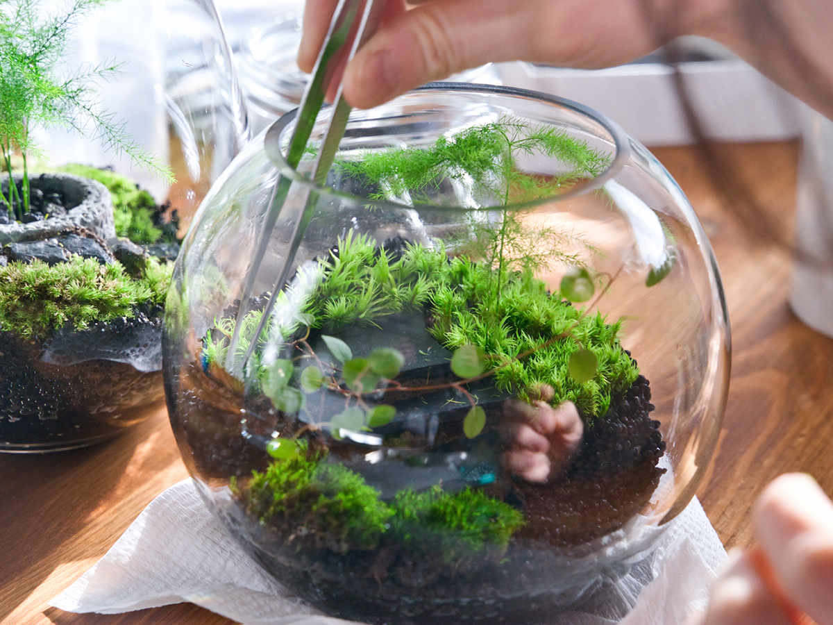 万代八千代の杜住宅公園