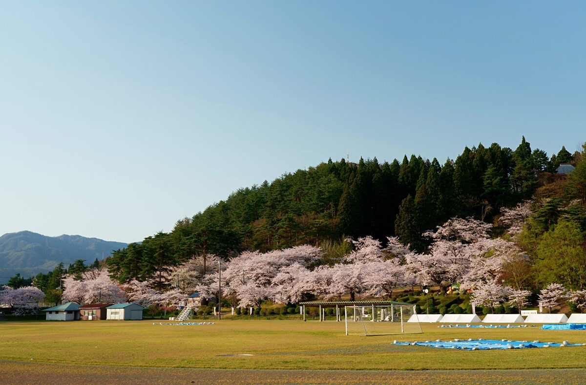 2026 村松公園 桜まつり