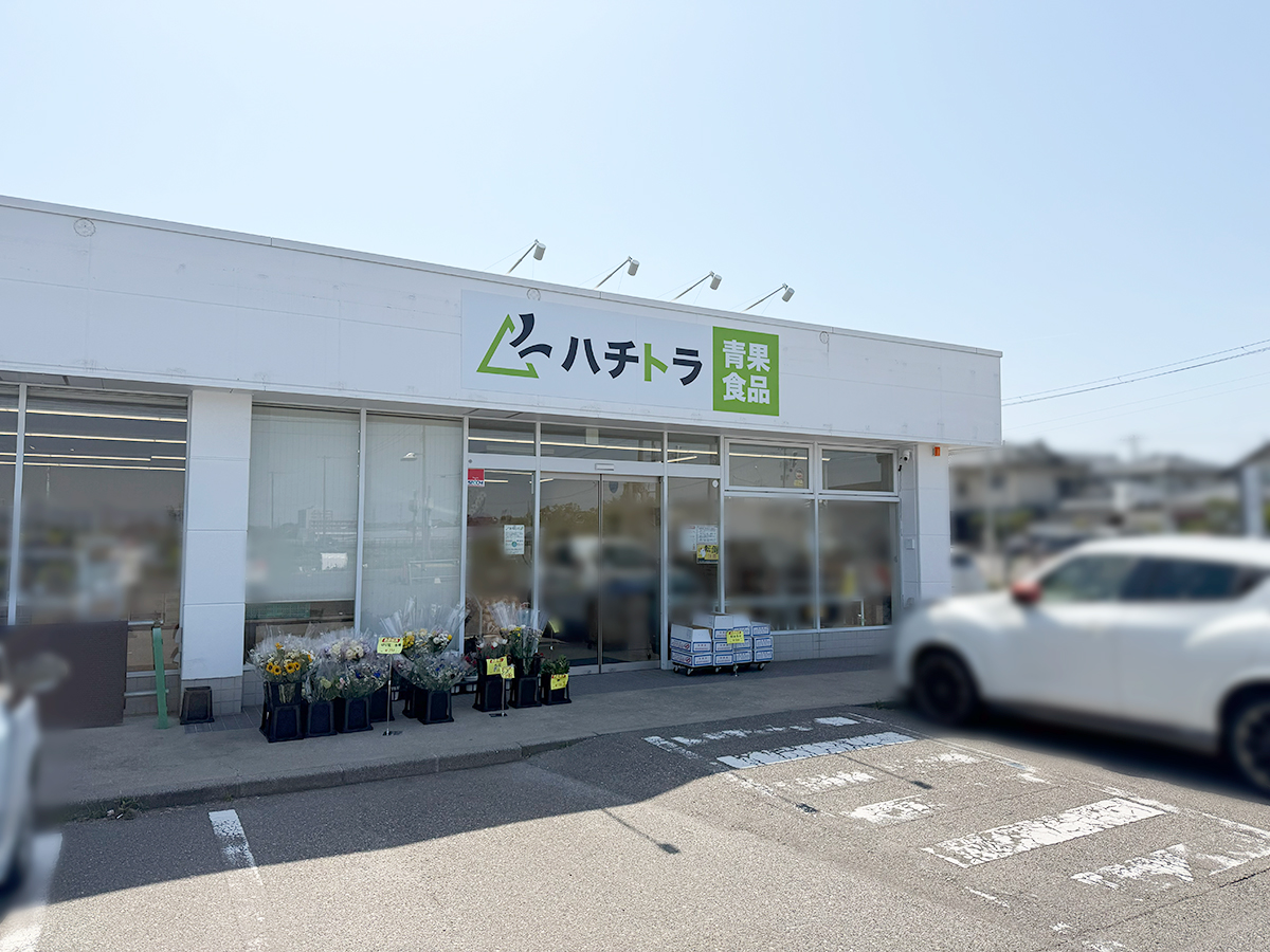 ハチトラ 竹尾店
