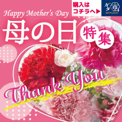 新潟県産の令和七年度新米