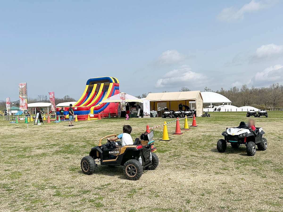 国営越後丘陵公園 アクティビティ