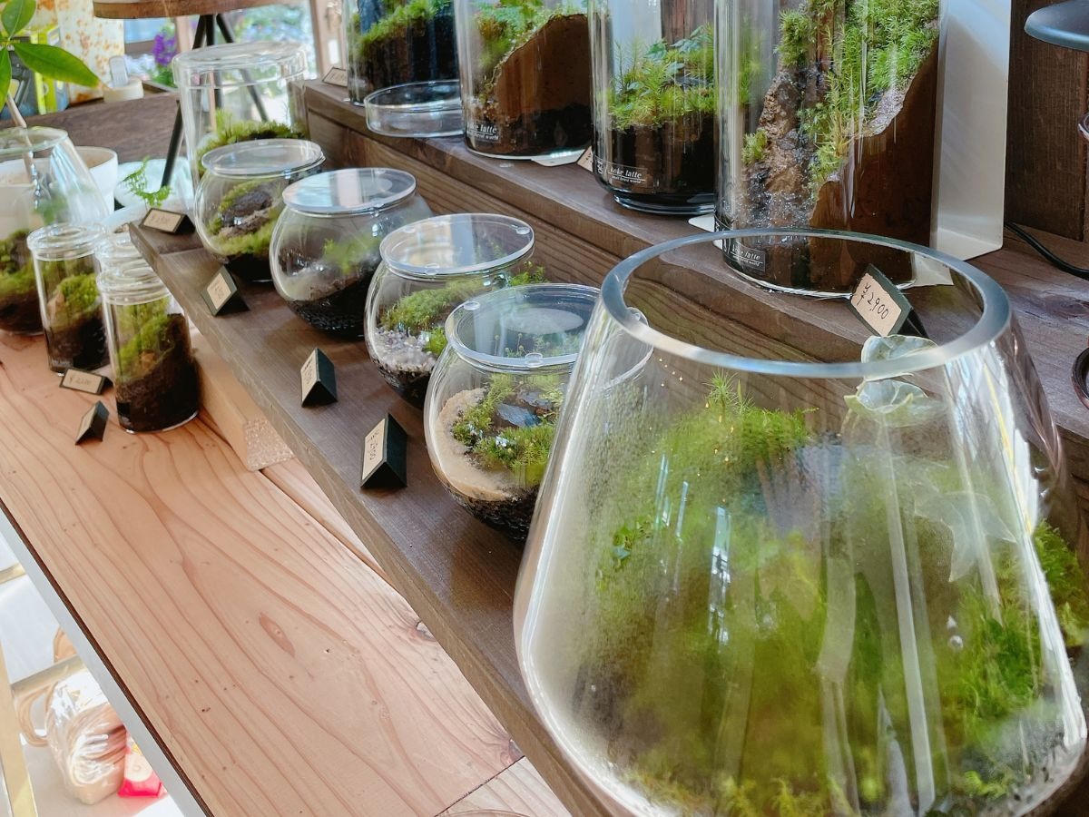 にしかんボタニカル蚤の市