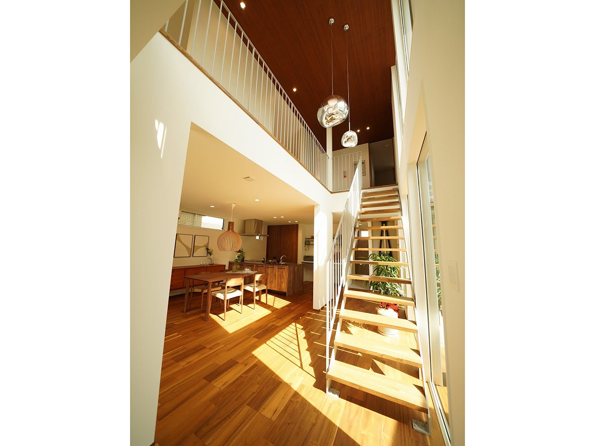 アサヒアレックス