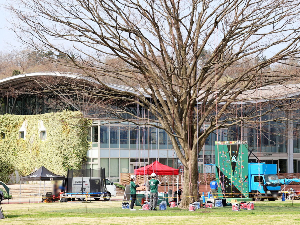 国営越後丘陵公園 チューリップまつり