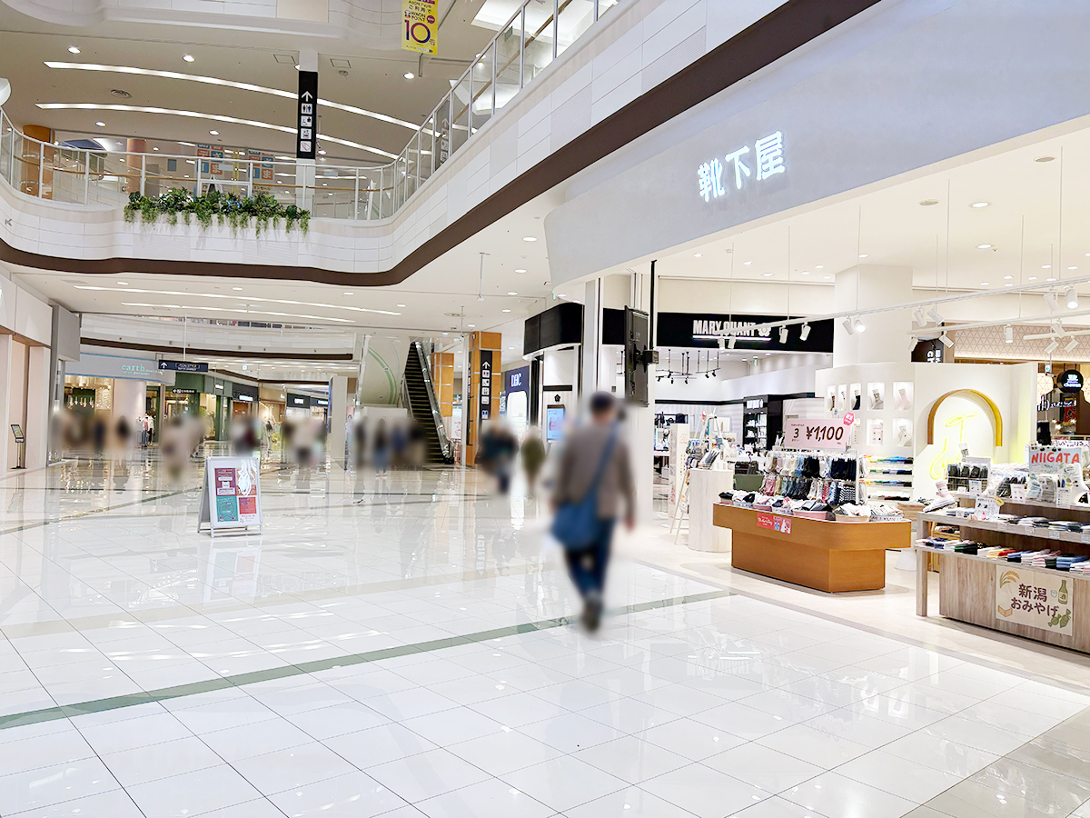 アイケアプラス イオンモール新潟亀田インター店の場所