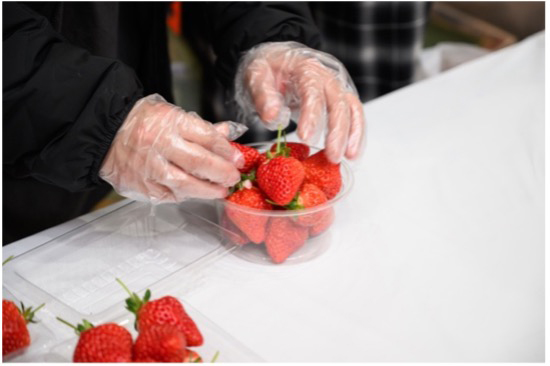 越後姫フェア ～春の越後姫スイーツ＆パンまつり～