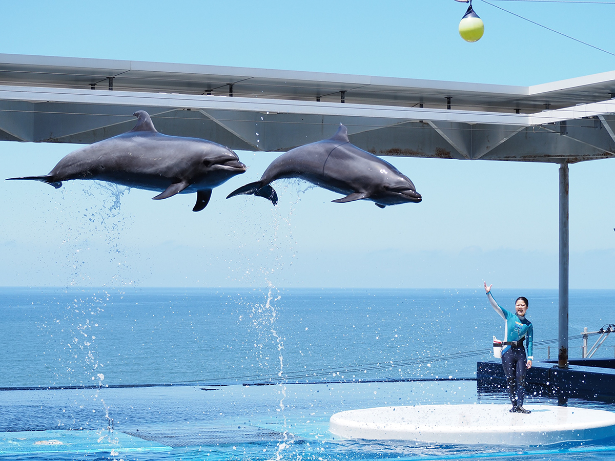 うみがたりのGW