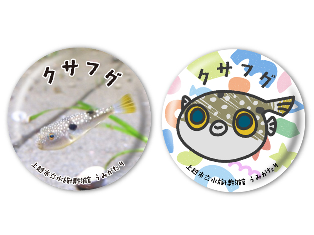 うみがたりのGW