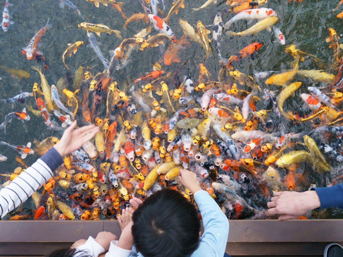 うみがたりのGW