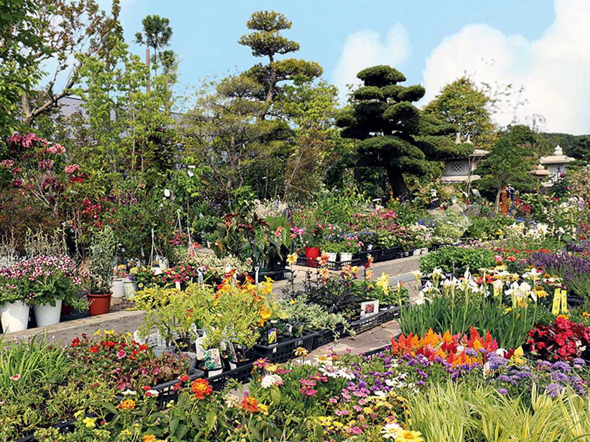 道の駅 庭園の郷 保内