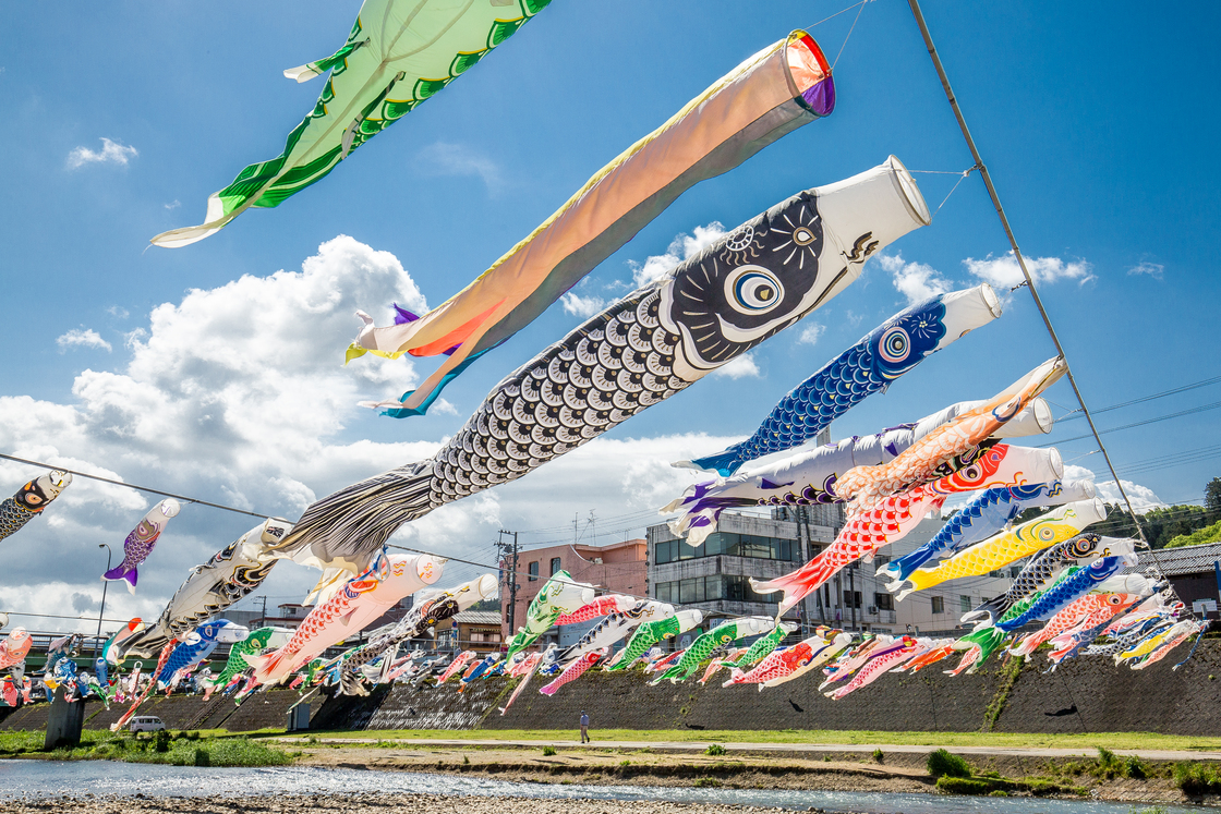 【加茂市】約500匹の鯉のぼりが空を舞う『加茂川を泳ぐ鯉のぼり』が4月24日より開催！「かもこいマルシェ」でグルメも楽しもう♪