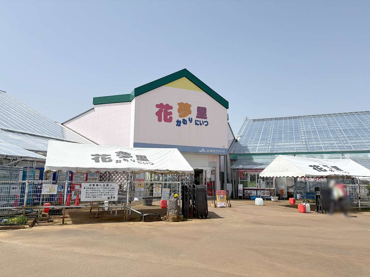 道の駅花夢里の外観