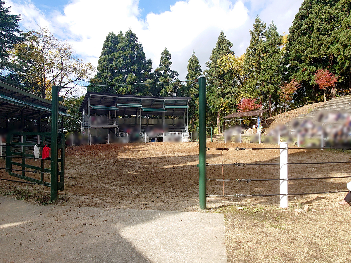 おぢや牛の角突き