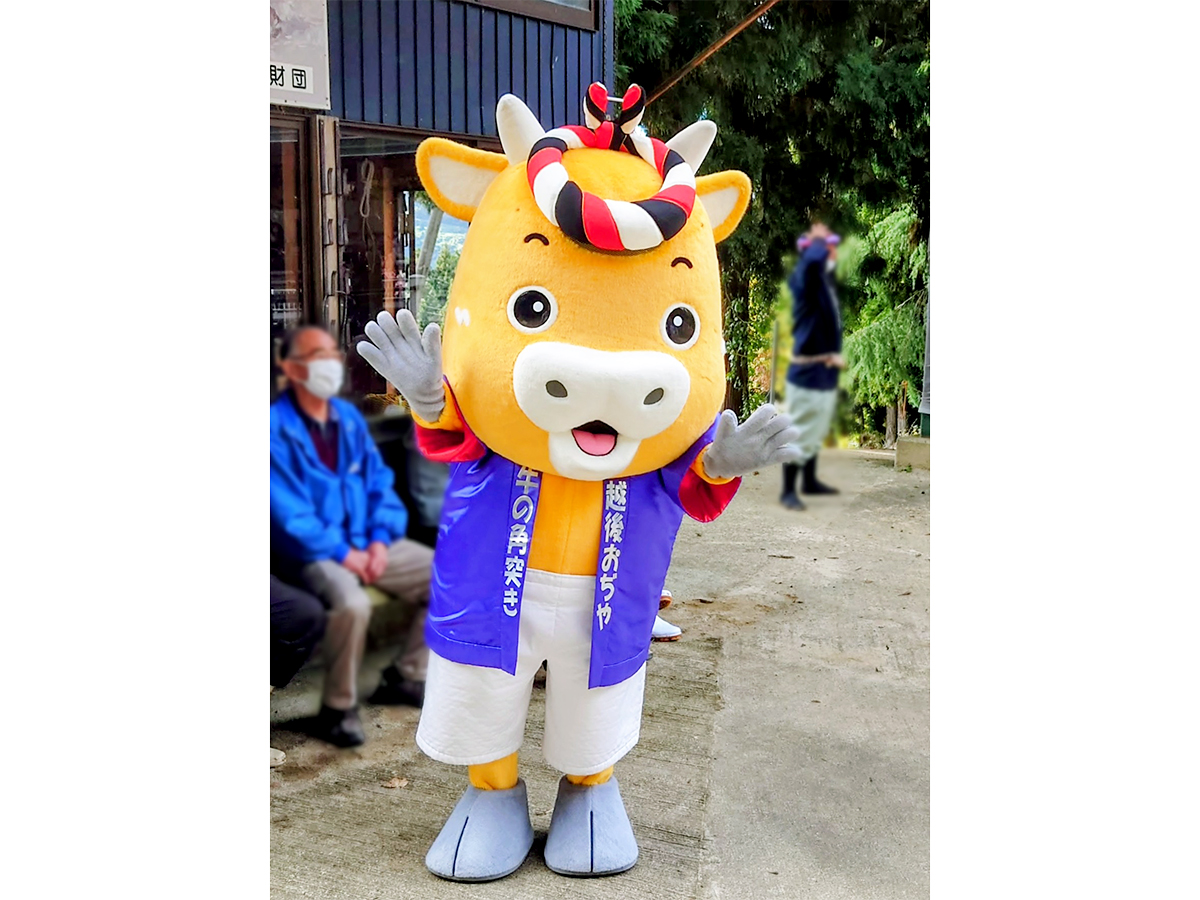 おぢや牛の角突き