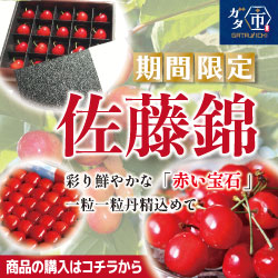 ガタ市のさくらんぼ